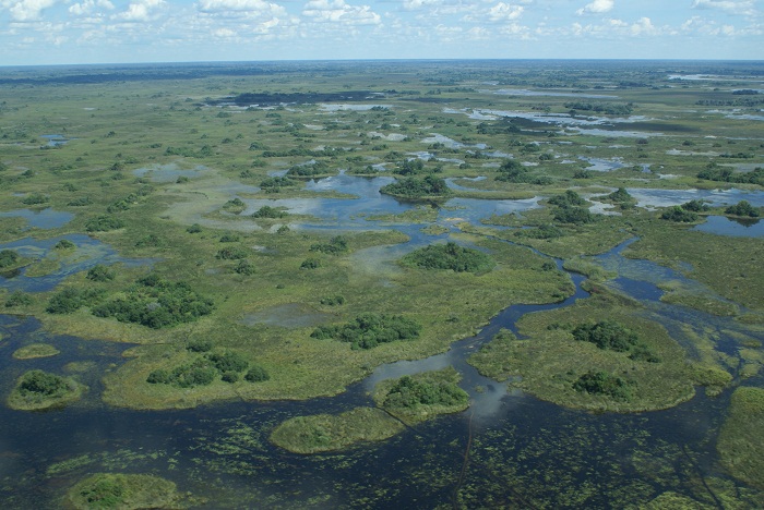 1 Okavango