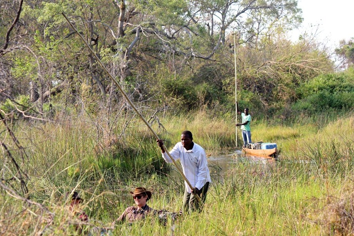 10 Okavango