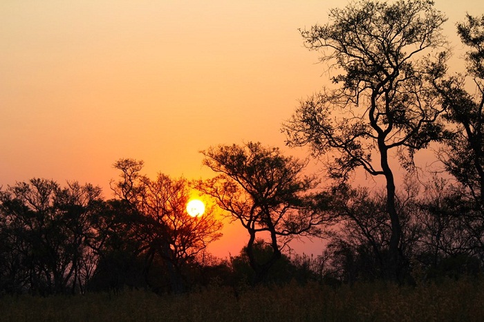 11 Okavango