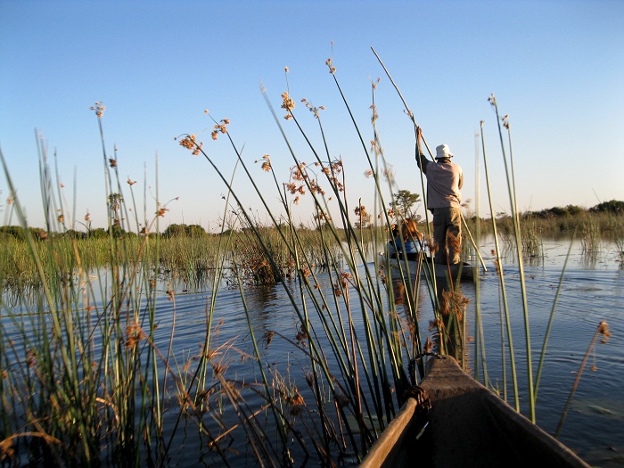 17 Okavango