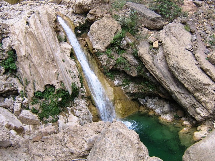 2 Lamadaya