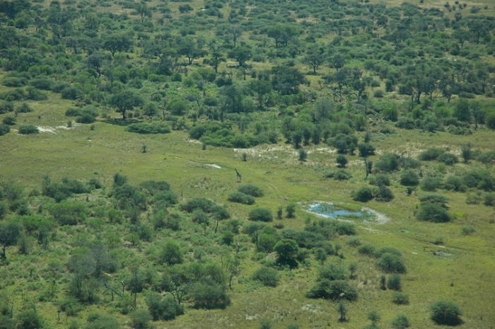 2 Okavango