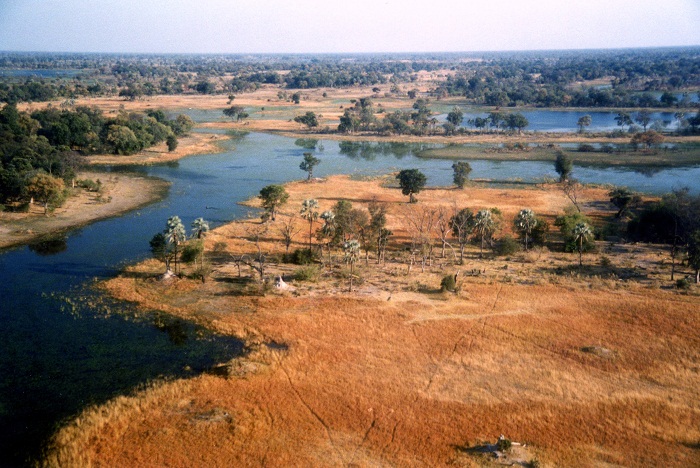 3 Okavango