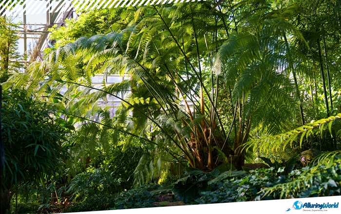 3 Royal Greenhouses of Laeken