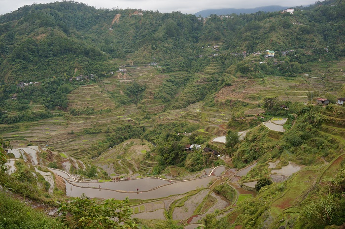 5 Banaue