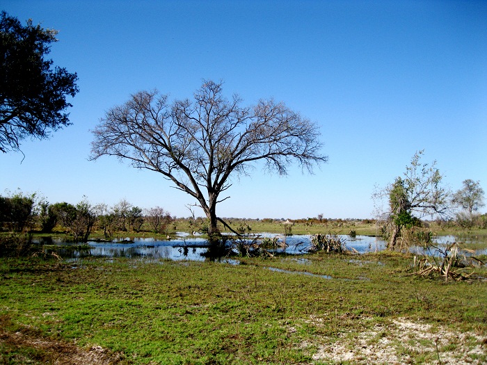 6 Okavango