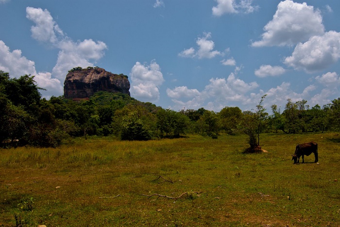 6 Sigiriya