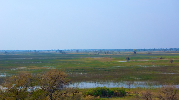 8 Okavango