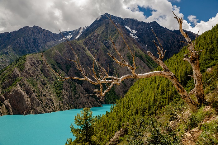 1 Phoksundo