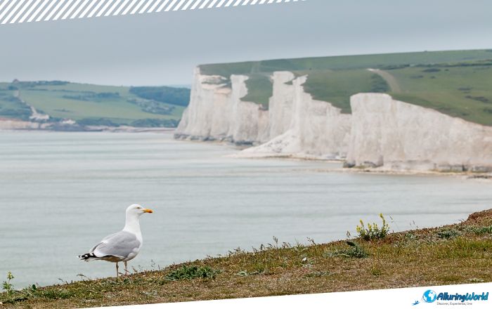 1 Seven Sisters in East Sussex