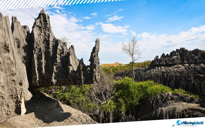 2 Tsingy de Bemaraha Strict Nature Reserve
