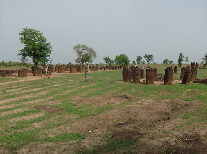 3 Senegambian