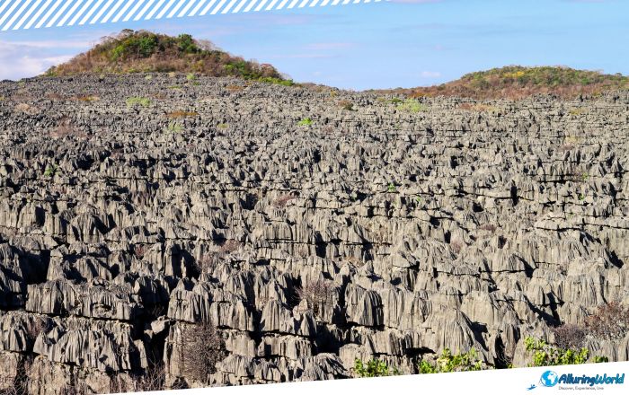3 Tsingy de Bemaraha Strict Nature Reserve