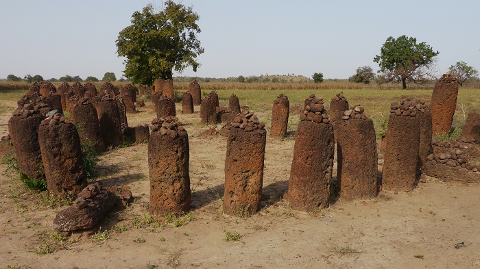 6 Senegambian