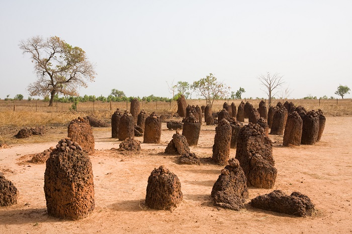 6 Stone Circles Senegal and Gambia