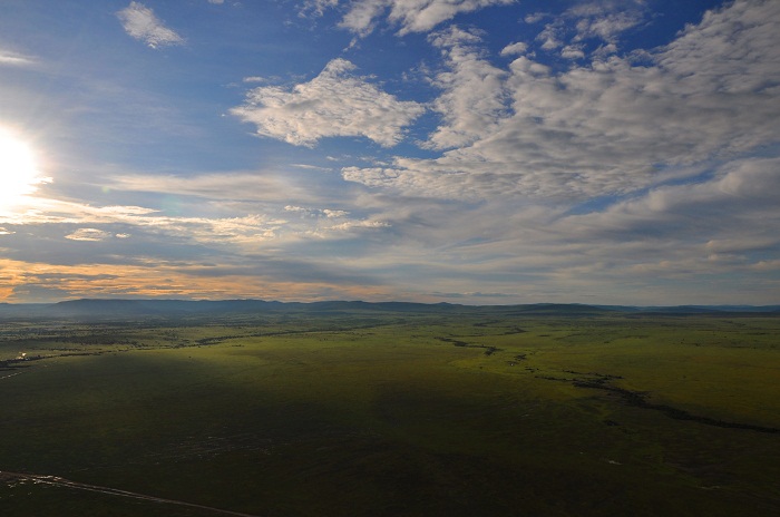 1 Maasai Mara