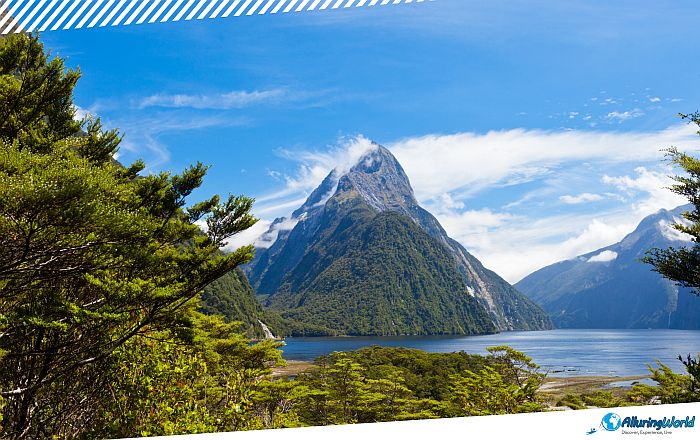 11 Milford Sound on the South Island