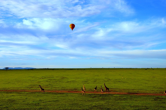 2 Maasai Mara