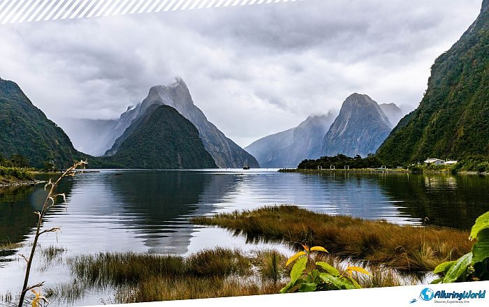 2 Milford Sound on the South Island