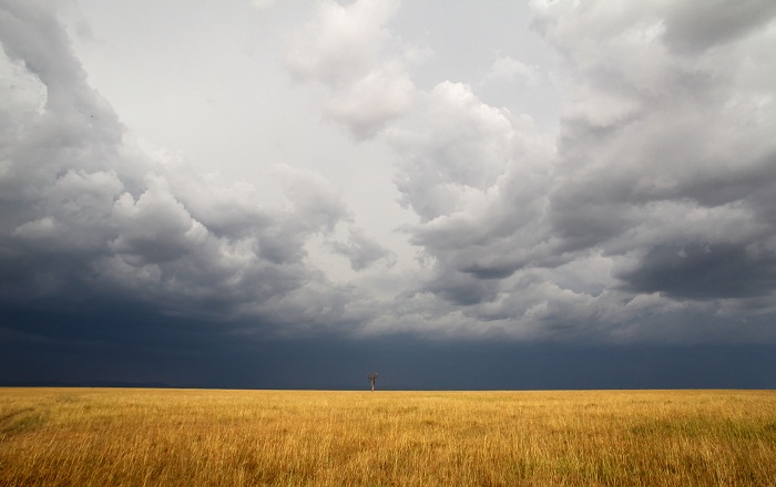 3 Maasai Mara