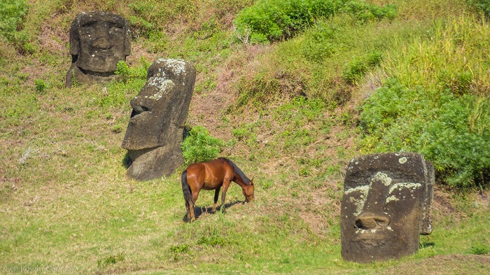 3 Moai Statues