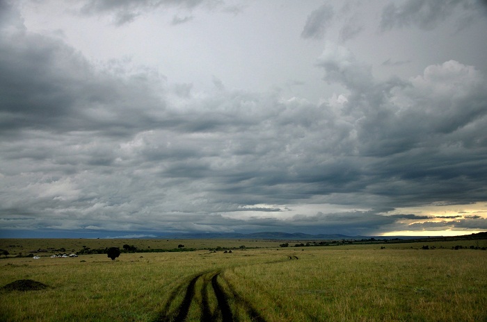 4 Maasai Mara