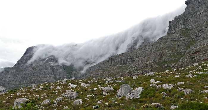 4 Table Mountain