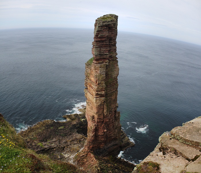 5 Old Man Hoy