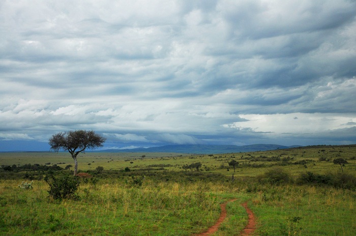 6 Maasai Mara