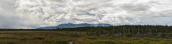 8 Gros Morne NP