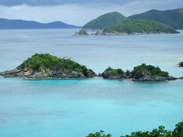 1 Trunk Bay