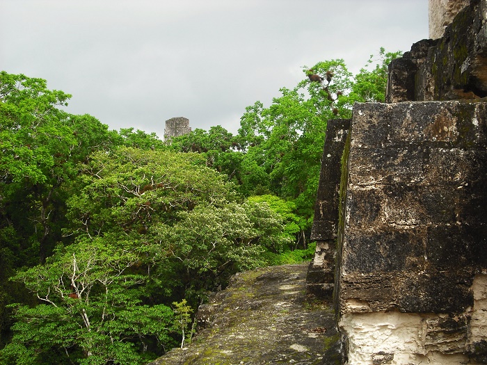 10 Tikal