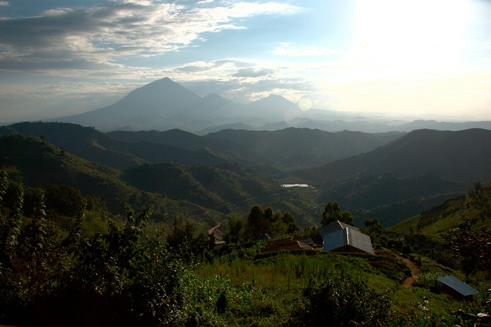 3 Virunga