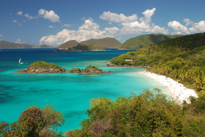 4 Trunk Bay