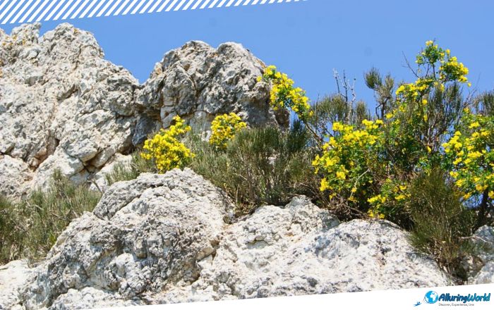 5 Devil’s Wall in Macedonia