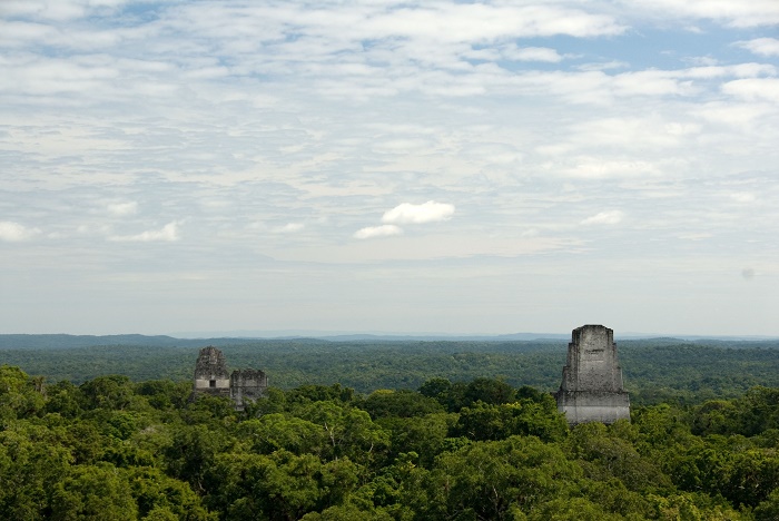 7 Tikal