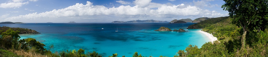 7 Trunk Bay