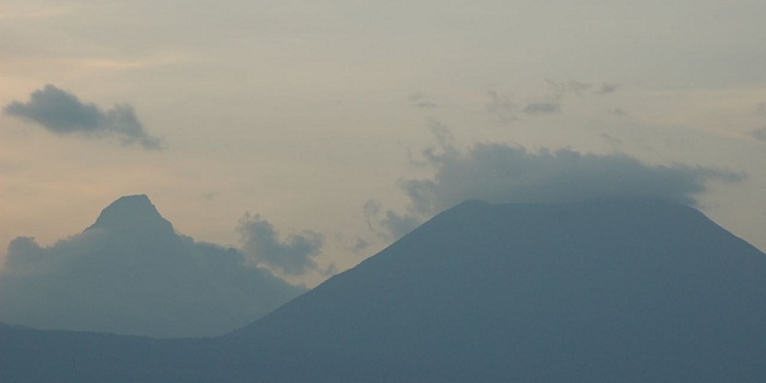 7 Virunga
