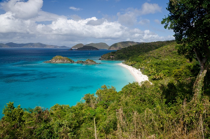 8 Trunk Bay