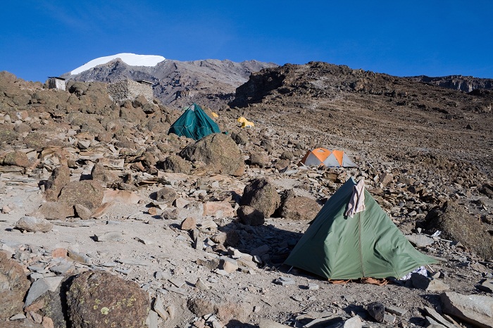 1 Kilimanjaro