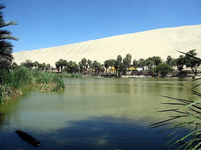 8 Huacachina