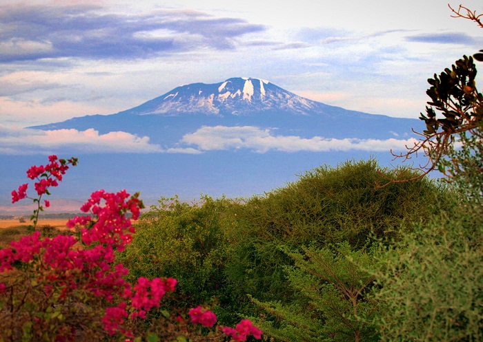8 Kilimanjaro