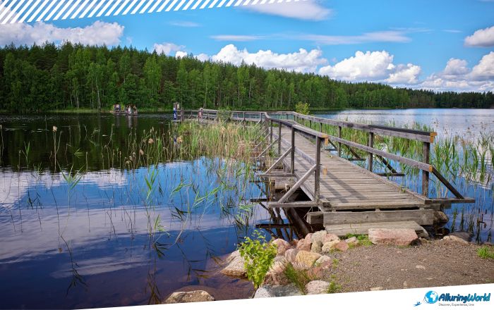 3 Repovesi National Park