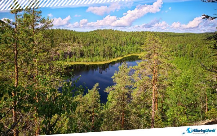 6 Repovesi National Park