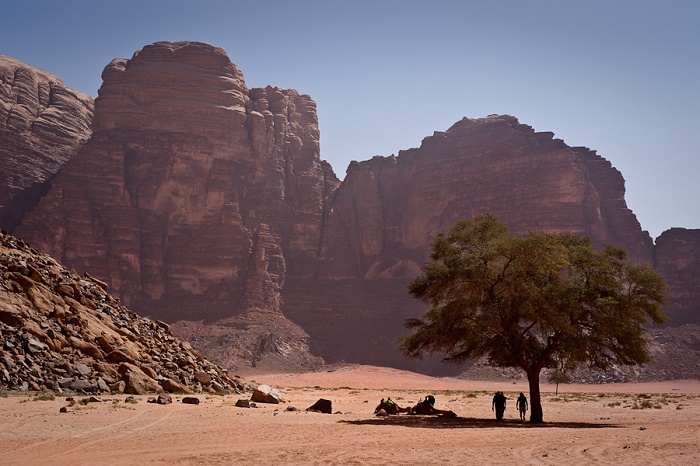 9 Wadi Rum