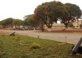 1 Bissau Amura Fort