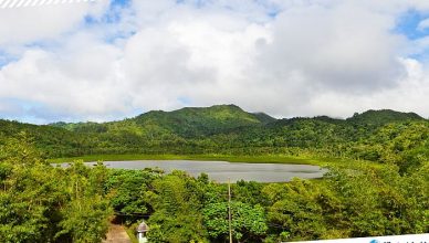 1 Grand Étang National Park in Grenada