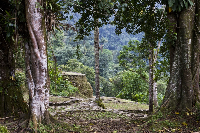 2 Ciudad Perdida