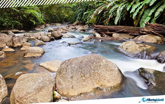 2 Grand Étang National Park in Grenada