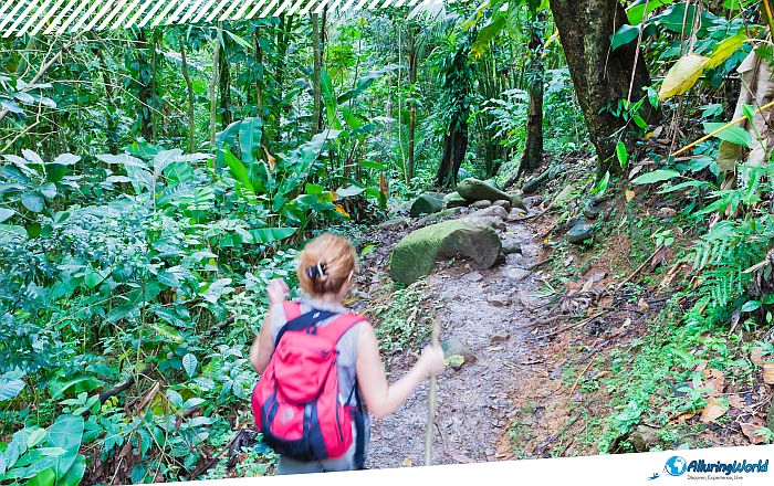 3 Grand Étang National Park in Grenada
